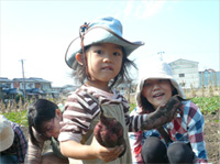 ぴよぴよくらぶ